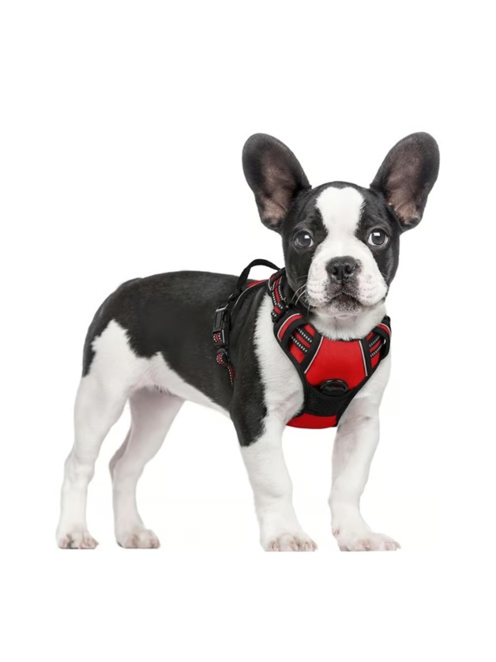 Rabbitgoo Dog Harness No Pull with 2 Leash Clips Adjustable Reflective [Small]